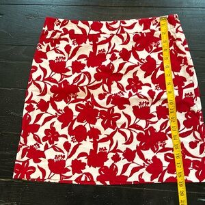 Ann Taylor Cotton Skirt 8